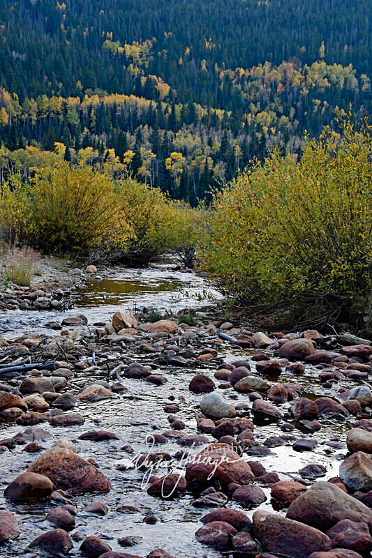 3HPhotography10-6-24_RMNP_0415_ - Western U.S. Landscapes