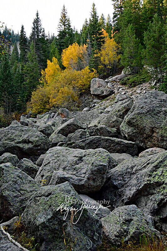 3HPhotography10-6-24_RMNP_0165_ - Western U.S. Landscapes