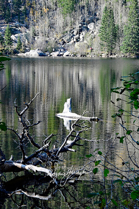 3HPhotography10-6-24_RMNP_0115_ - New Limited Editions - Rocky Mountain National Park