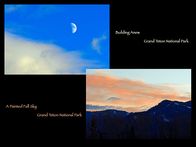 2026 Images From Nature Calendar AUG PHOTO - The 2026 Scenic Images Calendar Pictures