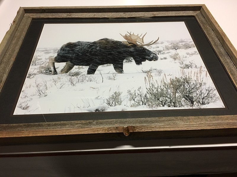 Fighting the Blizzard_1566 - Finished Artwork