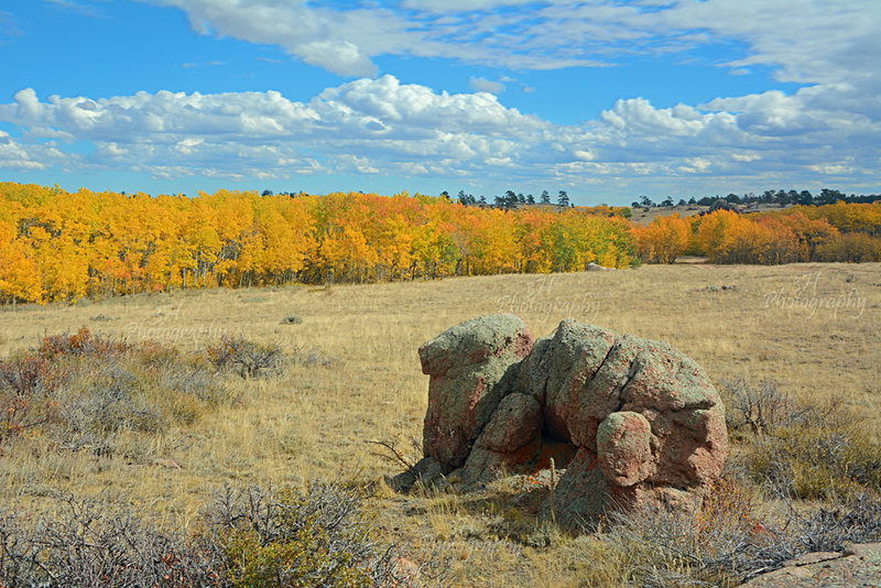 Fall Colors - Wyoming Landscapes