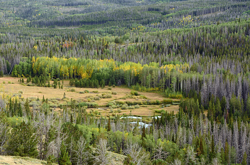Sierra Madres  Valley - Wyoming Landscapes