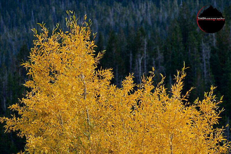 _DSC0618 - Western U.S. Landscapes