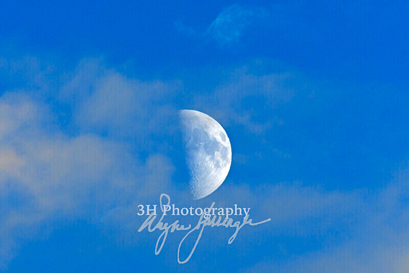 3HPhotography_Grand_Teton_OCT2025_00705 - Grand Teton NP Fall Adventure - OCT 2025