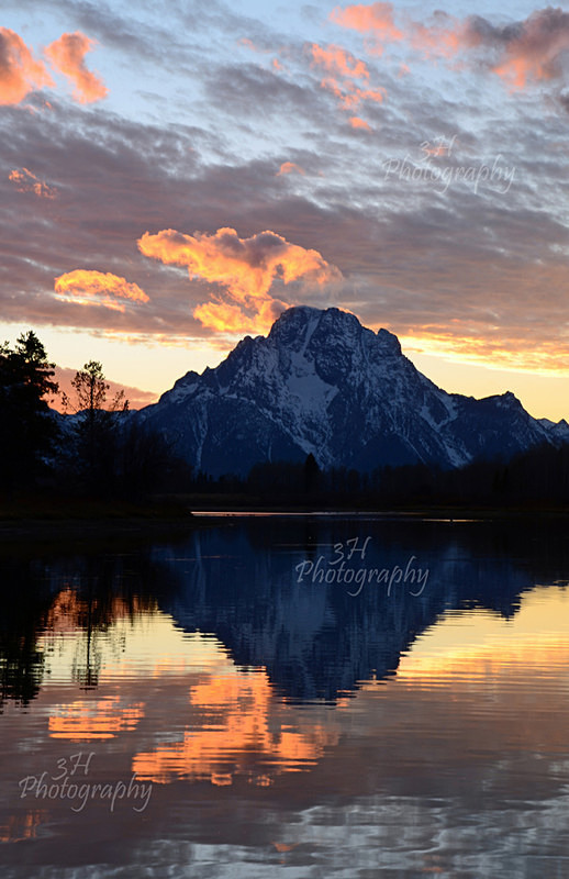 Oxbow Beauty - Grand Teton & Yellowstone National Park Landscapes