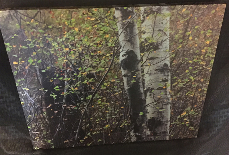 Can You See Me - canvas - Finished Artwork