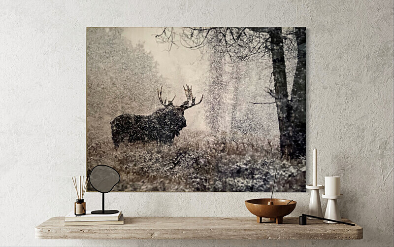 Blizzard Bull on Metal - Finished Artwork
