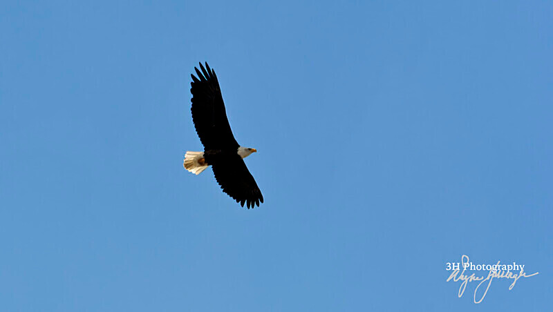 3HPhotography_Grand_Teton_OCT2025_00065 - Grand Teton NP Fall Adventure - OCT 2025