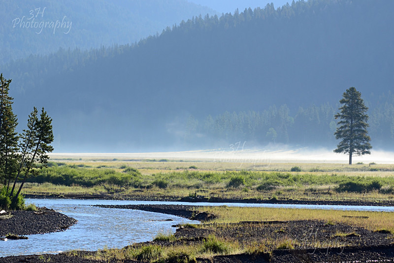 Lamar Valley Morning - Grand Teton & Yellowstone National Park Landscapes