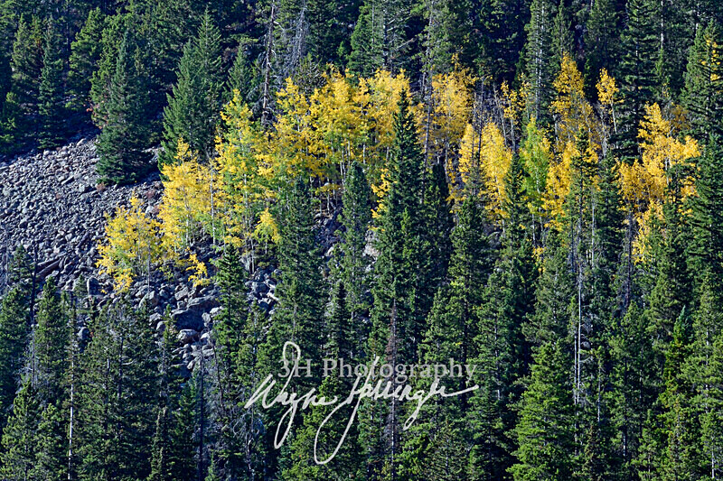 3HPhotography10-6-24_RMNP_0051_ - New Limited Editions - Rocky Mountain National Park