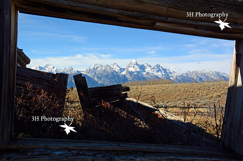 _DSC9621 - Grand Teton & Yellowstone National Park Landscapes