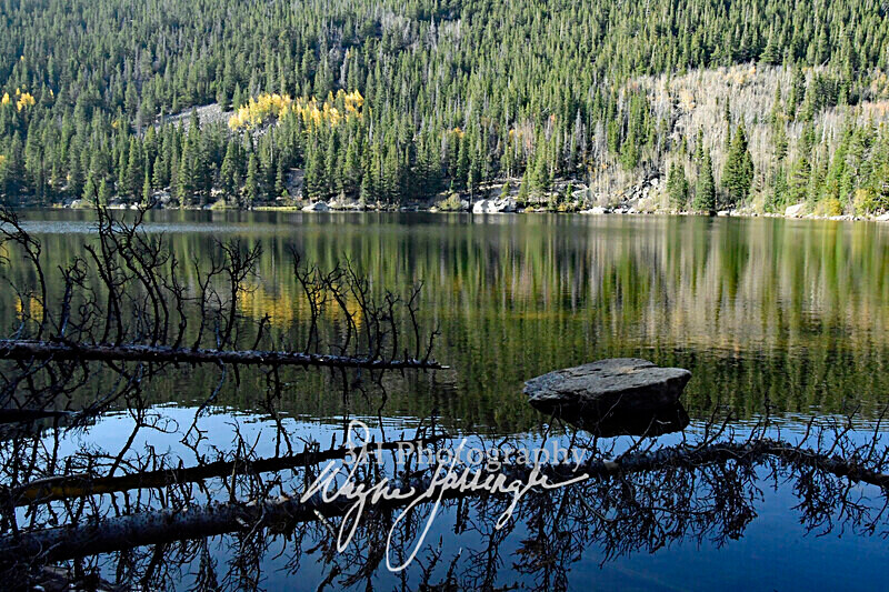 3HPhotography10-6-24_RMNP_0118_ - New Limited Editions - Rocky Mountain National Park