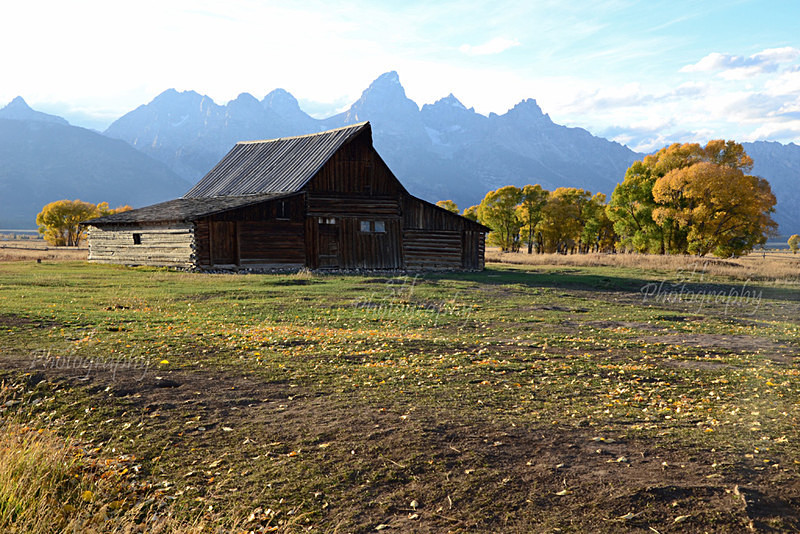 Grand Teton Fall From Mormon Row - Grand Teton & Yellowstone National Park Landscapes