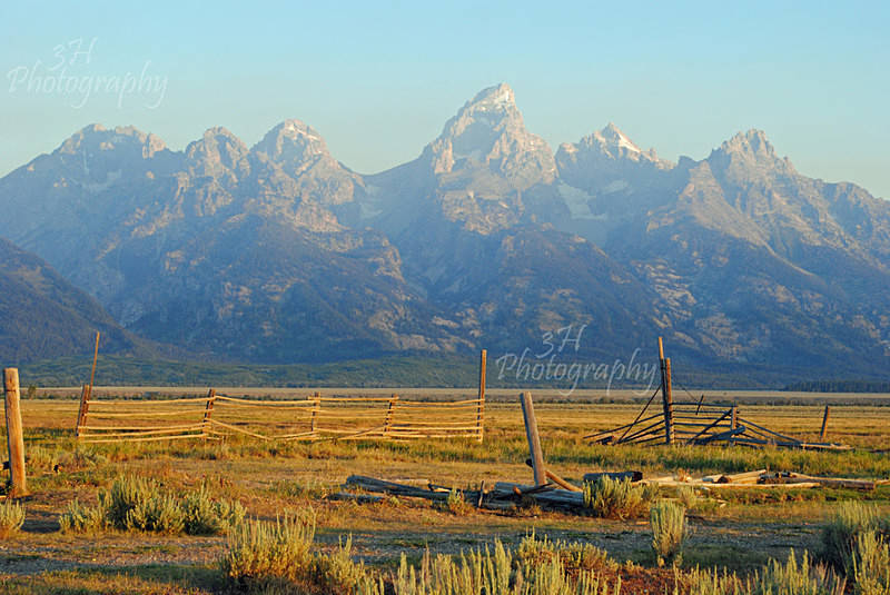 Teton Morning - Grand Teton & Yellowstone National Park Landscapes