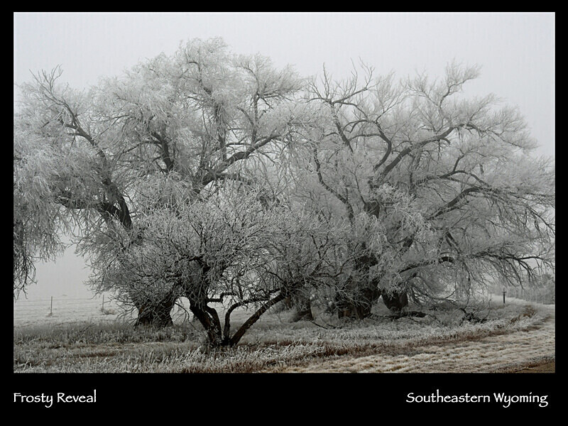 2026 Images From Nature Calendar JAN PHOTO - The 2026 Scenic Images Calendar Pictures