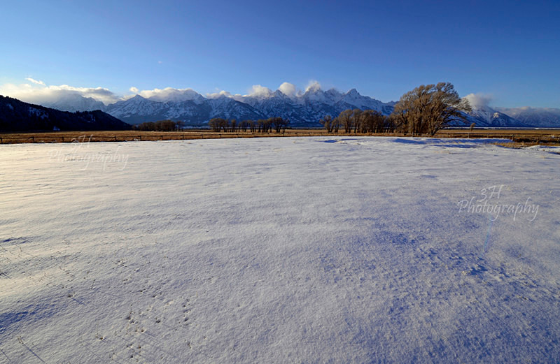 Frosty Tetons From Antelope Flats - Grand Teton & Yellowstone National Park Landscapes