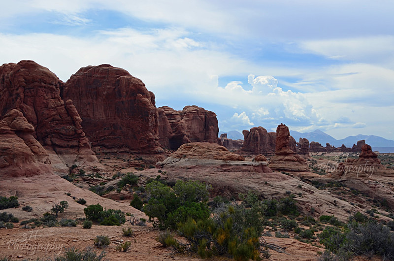 Garden of Eden - Western U.S. Landscapes