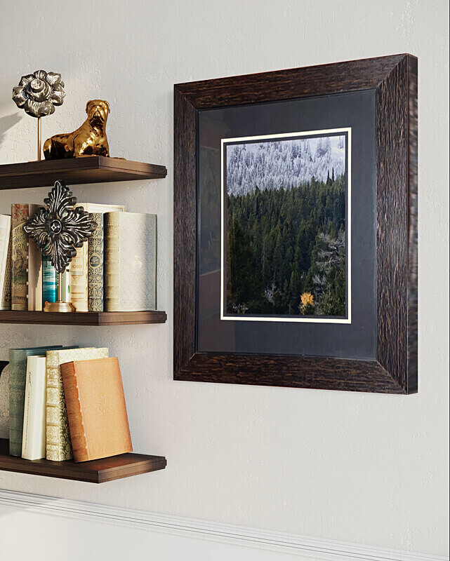Season Transition - Framed  Matted - Finished Artwork