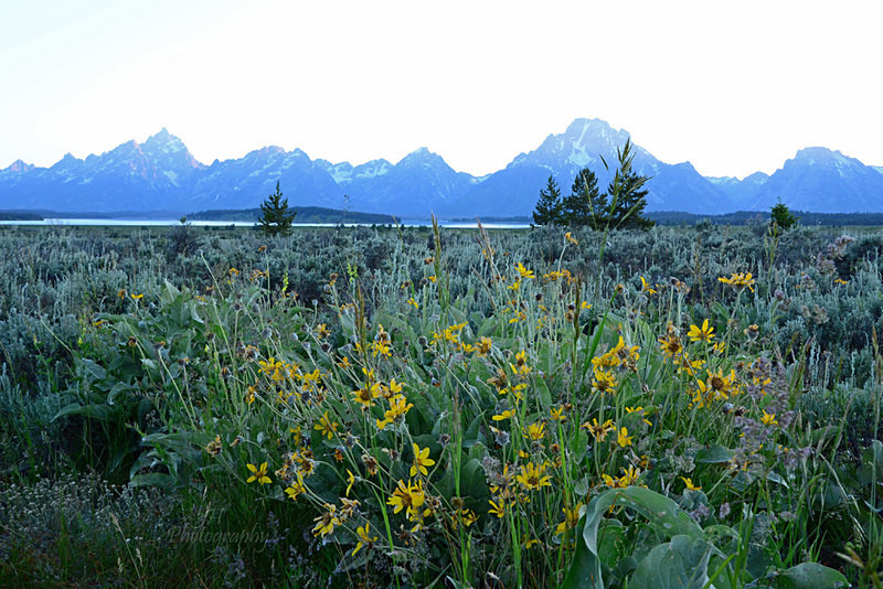 Colorful Teton Evening - Grand Teton & Yellowstone National Park Landscapes