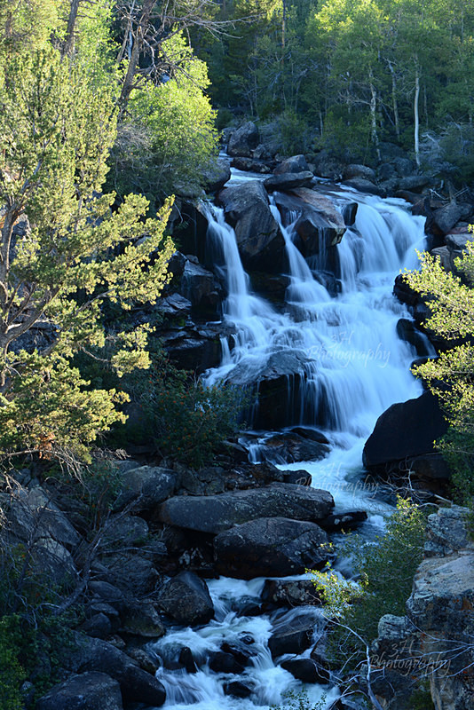 Middle Fork Falls - Wyoming Landscapes