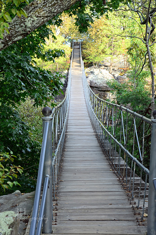 What Lays Ahead - TN - Eastern U.S. Landscapes