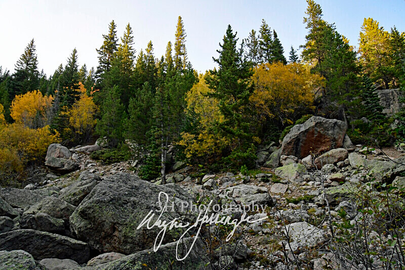 3HPhotography10-6-24_RMNP_0169_ - New Limited Editions - Rocky Mountain National Park