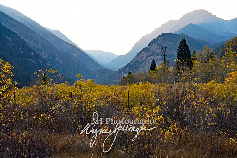 3HPhotography10-6-24_RMNP_0486_ - New Limited Editions - Rocky Mountain National Park