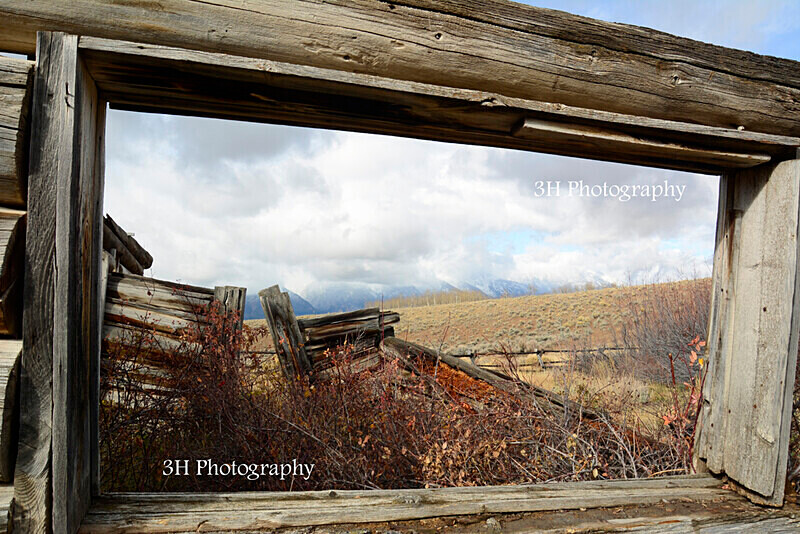 _DSC9574 - Grand Teton & Yellowstone National Park Landscapes