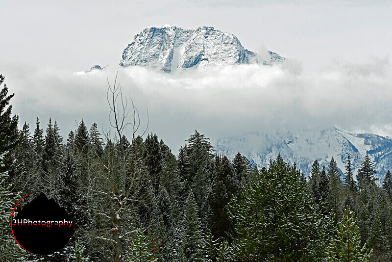 Frosted Fall_4655 - Grand Teton & Yellowstone National Park Landscapes