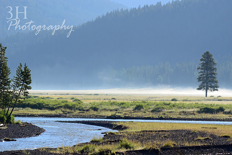 Lamar Valley Morning watermarked - 3H Note Card Images