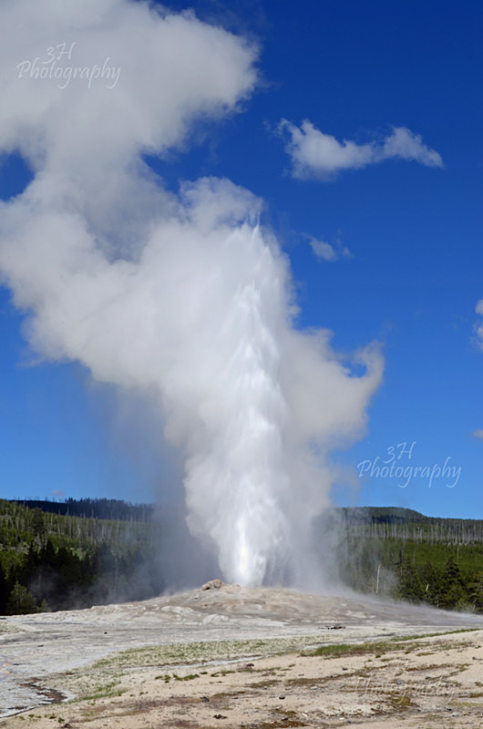 Old Faithful - Grand Teton & Yellowstone National Park Landscapes