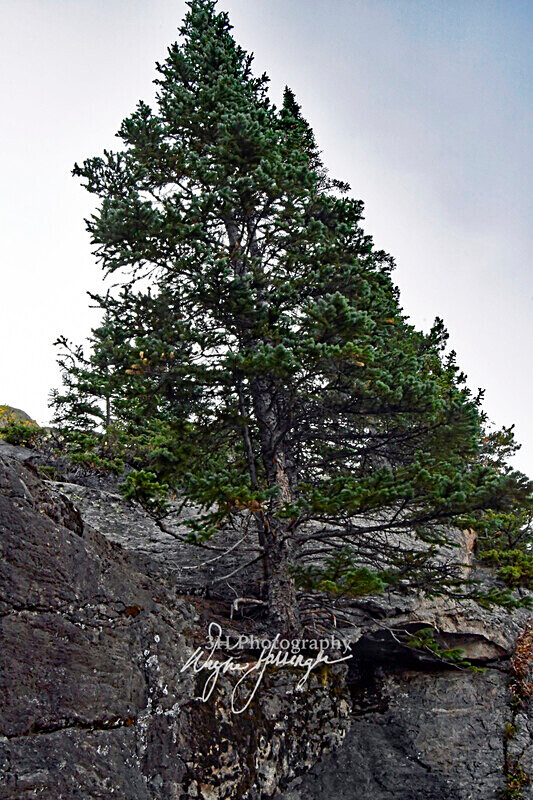 3HPhotography10-6-24_RMNP_0149_ - New Limited Editions - Rocky Mountain National Park