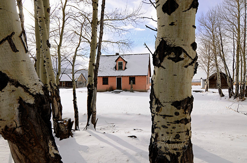 Mormon Row Homestead - Grand Teton & Yellowstone National Park Landscapes