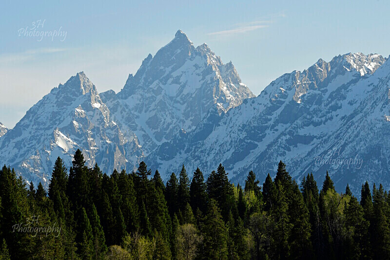 Grand Majesty_7333 - Grand Teton & Yellowstone National Park Landscapes