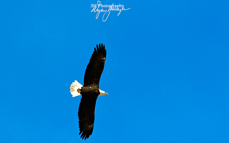 3HPhotography_Grand_Teton_OCT2025_00079 - Grand Teton NP Fall Adventure - OCT 2025