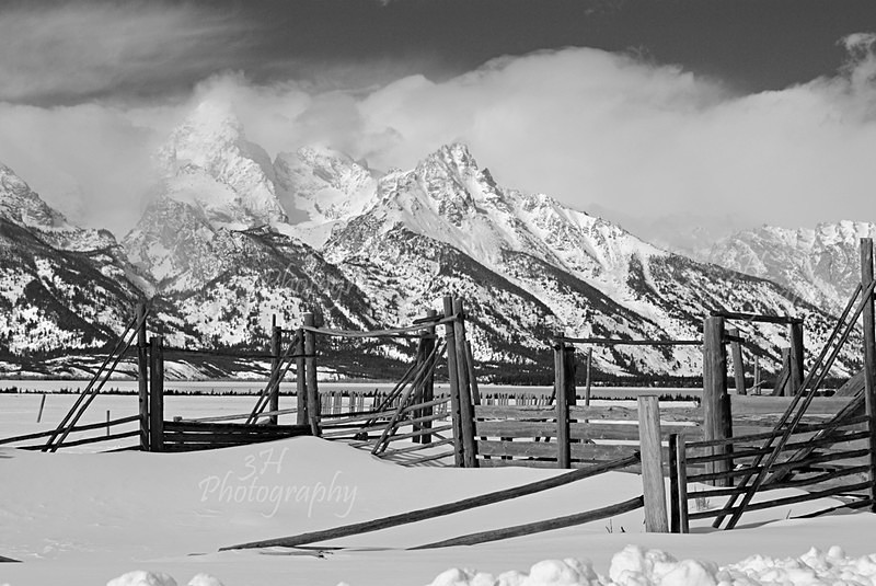 Vintage Teton Loading Corral - Grand Teton & Yellowstone National Park Landscapes