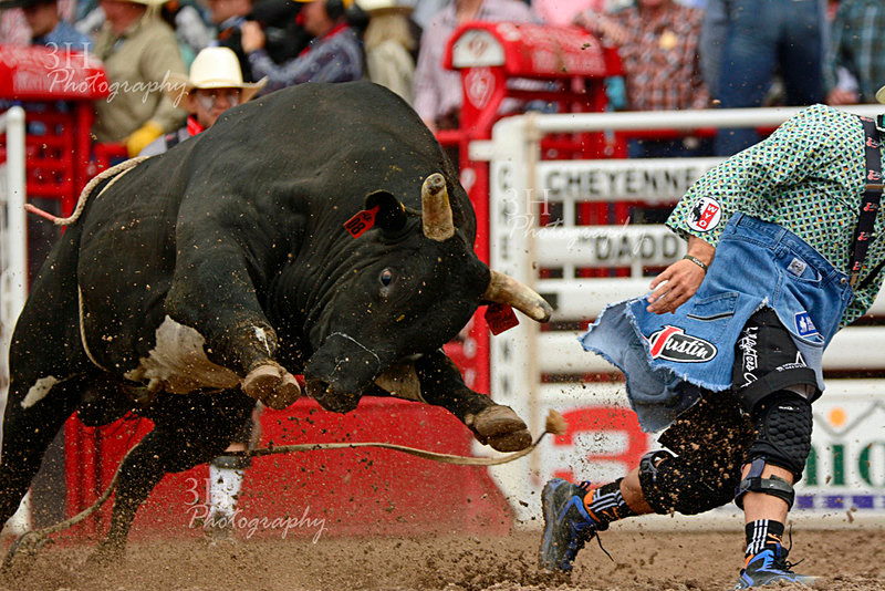 Getcha Some - Professional Rodeo