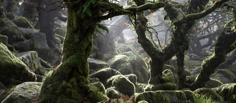  - Landscapes