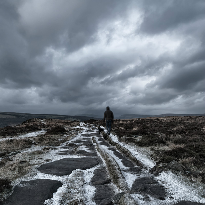 Walkies - Landscapes