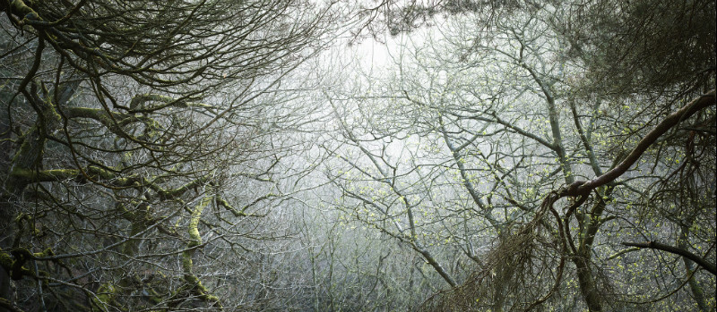  - Padley Gorge / Bolehill Quarry