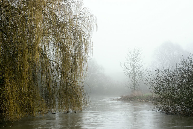  - Latest Images
