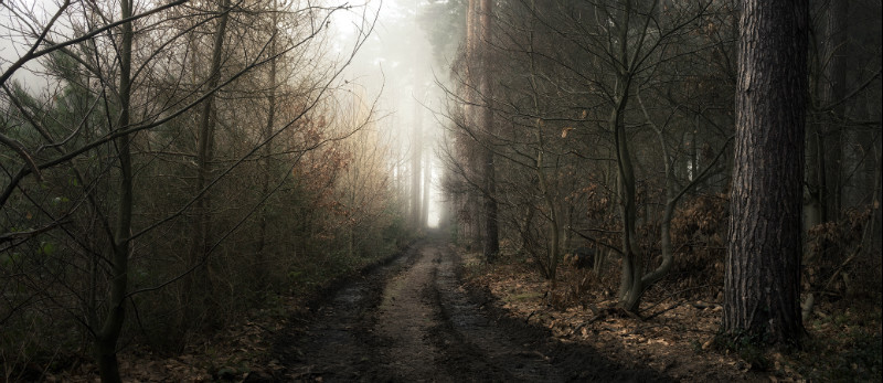  - Landscapes