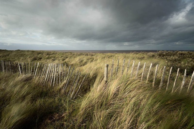Brisk - Norfolk