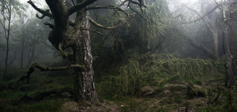  - Latest Images