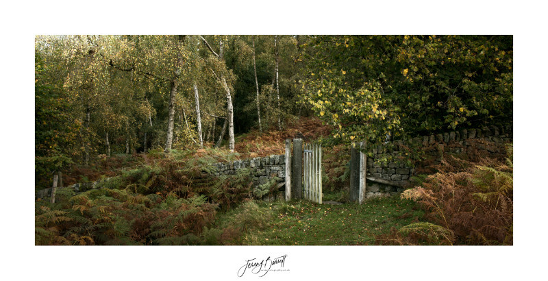 The Secret Garden - Latest Images
