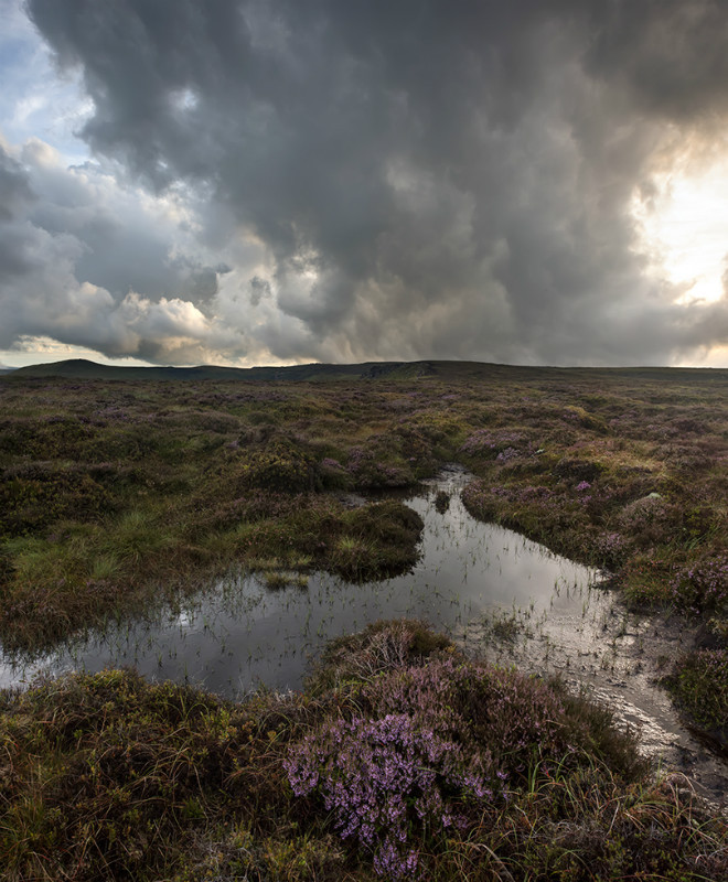 Kinder Scout - Landscapes