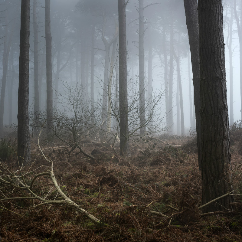  - Landscapes
