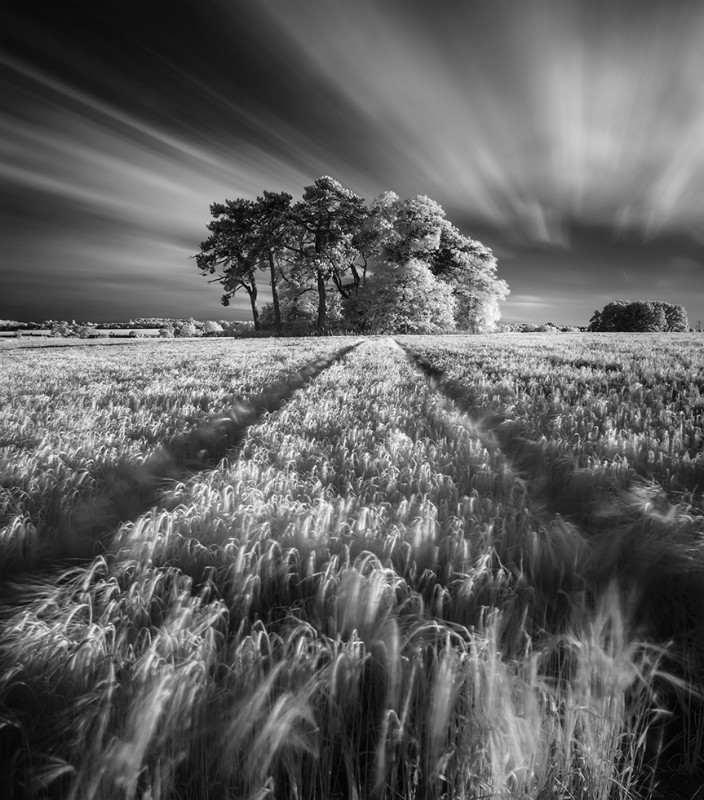 Shades of time - Black & White