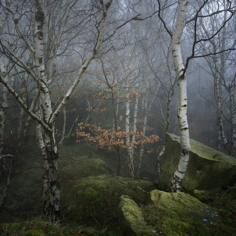 Last Dance - Padley Gorge / Bolehill Quarry